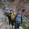 Cortina 2009